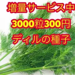 hải phạm様 リクエスト 5点 まとめ商品