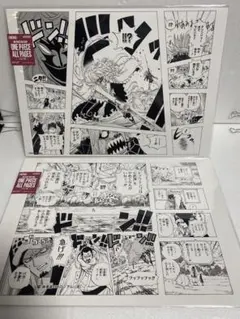 ワンピースベースショップ all pages トラファルガー ロー 登場シーン