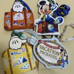 東京ディズニーリゾート　バケーションパッケージ　パスケース　限定