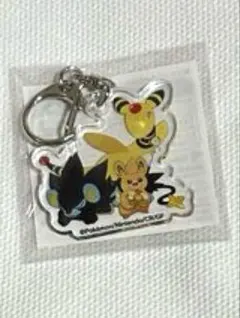 2026年最新】ポケモンセンター アクリルキーホルダー 8周年の人気