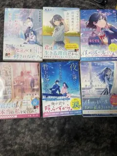 学園青春恋愛小説　まとめ売り