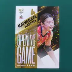 Vコレ リアルカード　デンソーエアリービーズ　川畑選手