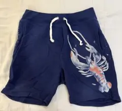 POLO RALPHLAUREN ポロラルフローレン スウェット生地ハーフパンツ