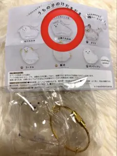 うちの子のけだまだま 犬 三角たれみみ ガチャ 愛犬 チャーム キーホルダー