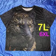 Item thumbnail for item d207c797-6997-4722-bd31-51c31749beaf