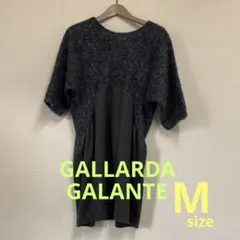 ガリャルダガランテのサムネイル