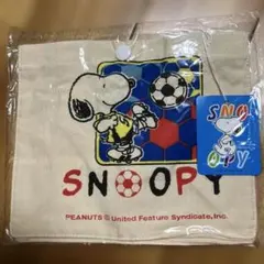 Item thumbnail for item 480a01b9-e16c-4b18-91f4-971068668e8d