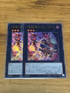 幻影騎士団 カオスオリジンズ 幻影騎士団マレヴォレンスサイス デッキ