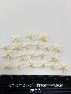 NO.23ss-154 ミニミニヒトデ　約1cm 〜1.5cm 20ケ入