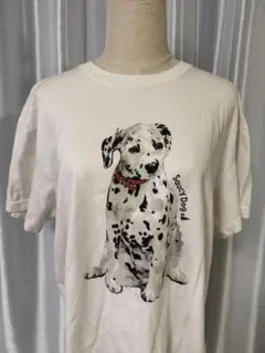 2026年最新】saucy dog tシャツの人気アイテム - メルカリ