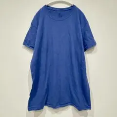 フルーツオブザルーム Tシャツ 丸首 半袖 無地 L 青 綿 カジュアル