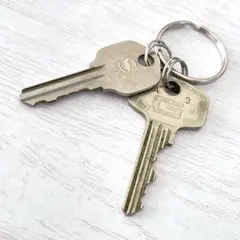 us017 アメリカ ヴィンテージキー 2本 、アルファベットの「G」と「S」