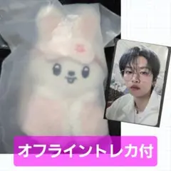 リノ リービット Straykids スキズ ペンミ 10センチぬい MDトレカ