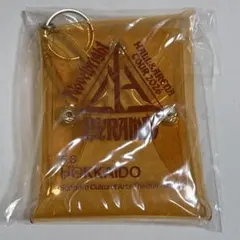 Novelbright PYRAMID 札幌 ジャスティン特典 マルチケース - メルカリ