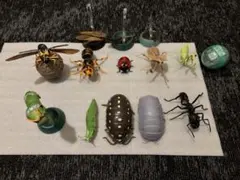 Item thumbnail for item 53bab7df-1779-49a6-8502-1f3462b300f4