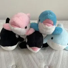 鴨川シーワールド、海の生き物 ぬいぐるみ 5種セット シャチ イルカ