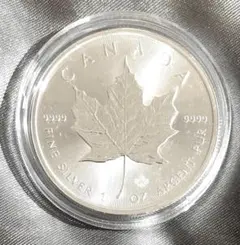2025年最新】メイプルリーフ銀貨の人気アイテム - メルカリ