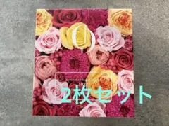 芦屋美整体 骨盤スリムショーツ ホット Lサイズ 2枚セットのサムネイル