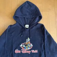 Walt Disney World フリースフーディー