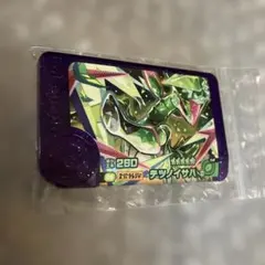 ポケモンフレンダスーパートレジャーテツノイサハ