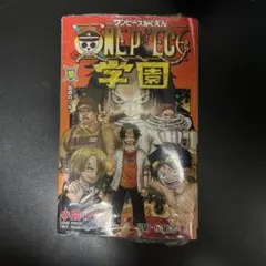 ONEPIECE学園　10巻　プロモ付き