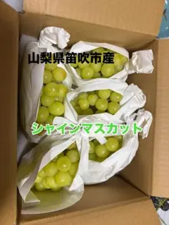 山梨県笛吹市産 シャインマスカット 5房 家庭用 ちゃん♡　クール便 山梨県笛吹市産 シャインマスカット 5房 家庭用 ちゃん♡様専用 クール
