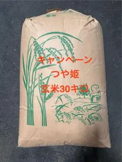 大分県産つや姫玄米30キロ予約 令和7年大分産つや姫玄米30キロ 特別キャンペーン第2弾 特別価格限定