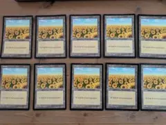 2025年最新】mtgひまわりの人気アイテム - メルカリ