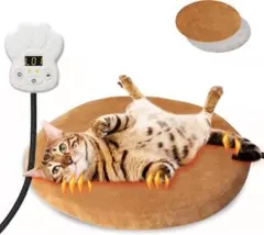 Item thumbnail for item 51019da8-bc17-4627-946a-0e0b55bcfd0a