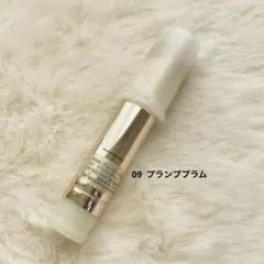 RMK デューイーメルトリップカラー 09 プランププラム