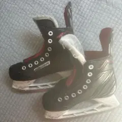 Item thumbnail for item c78bb56c-efff-4268-bd3e-ce051f2576df