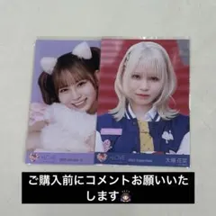 イコラブ 大場花菜 生写真 ヒロインズ 猫衣装