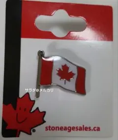 ピンズ キャラクターグッズ