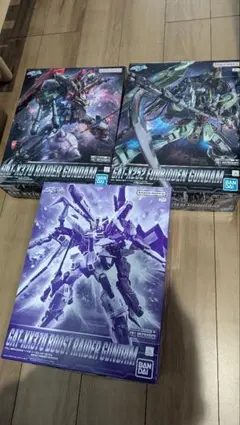 レイダーガンダム フォビドゥンガンダム HGデストロイガンダム 3個