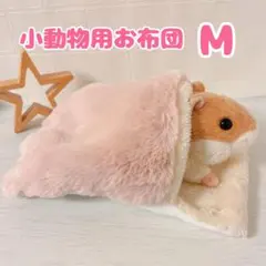 Item thumbnail for item 65c7e4b5-81a1-4b95-9a09-c11d96bc96c8