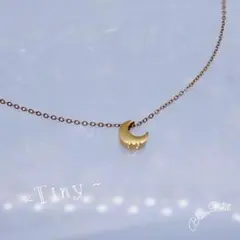 ネックレス ステンレス18KGP 三日月 ゴールド クレセント Tiny 月