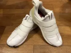 adidas ゴルフシューズ メンズ