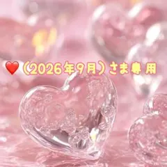 ❤️（2026年9月）さま専用です♡♡