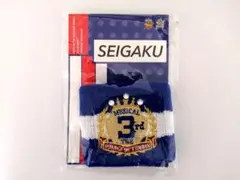 Item thumbnail for item 2397b461-9c7e-421b-bc85-2531c78391c1