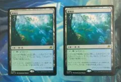 MTG 繁殖池/Breeding Pool EOE 通常枠 日本語版2枚