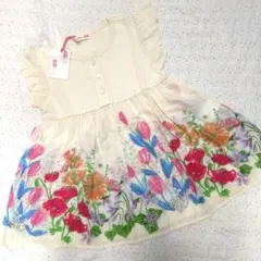 Item thumbnail for item e60b7bea-2bdf-4857-a90d-c21e2ac9f938