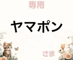 専用