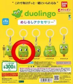 duolingoめじるしアクセサリー ちら見