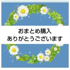 とみ姉＠プロフ必読様 リクエスト 2点 まとめ商品 - メルカリ