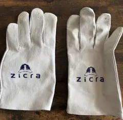 Item thumbnail for item 493c93bf-736a-4988-a44b-bbb491a48bdf