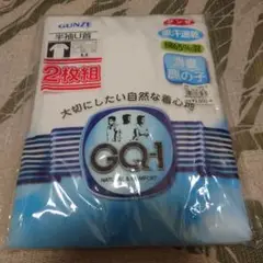 GUNZE GQ-1 半袖U首Tシャツ 2枚組 M