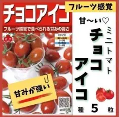 【野菜の種】フルーツのような強い甘み♡ミニトマト「チコアイコ」の種５粒