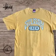 STUSSY×carhartt 湘南チャプトオープン記念ジップパーカー M激レア 