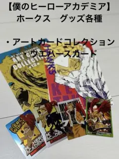 【僕のヒーローアカデミア】ホークスグッズ　各種