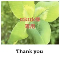 ttkttk様 リクエスト 3点 まとめ商品